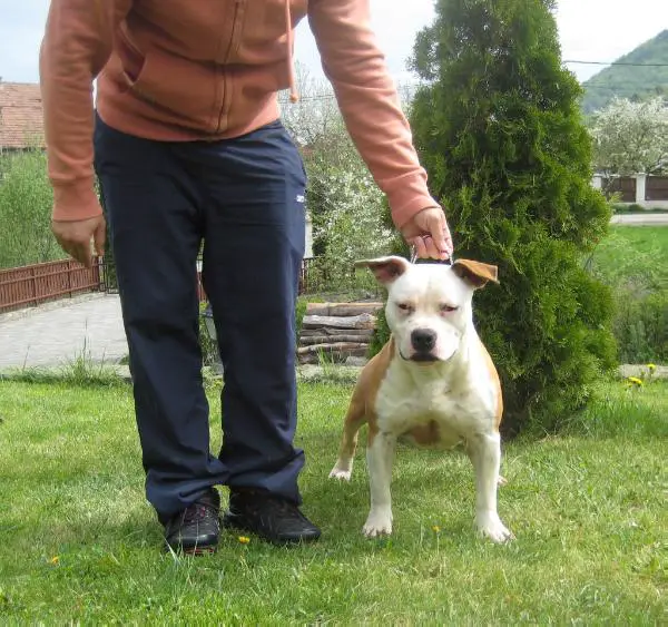 Beatrice Best Of Kings