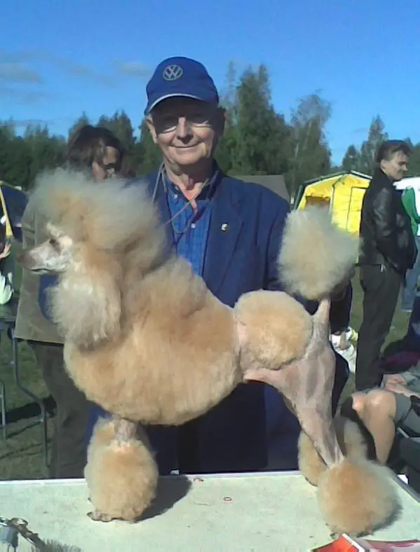 FIN CH Of Hannelhill All Atraction