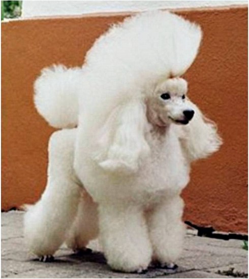 Fortfenton Finisterre