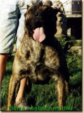 CH.POL Fiera Xanti Land