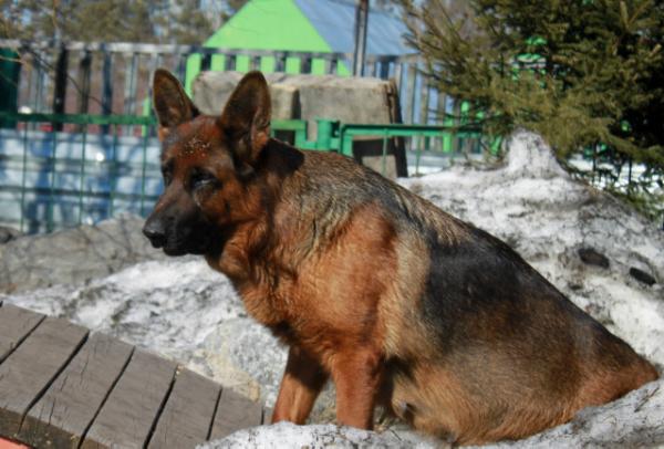 Bugatti Vom Katerina Stolts