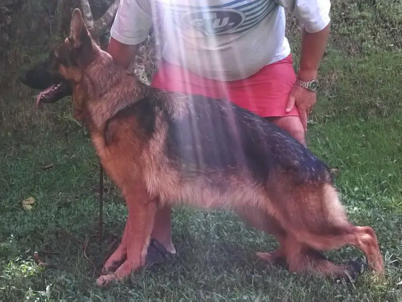 Luna da Casa da Serva