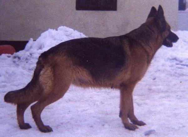 Inka Slavonski Brod