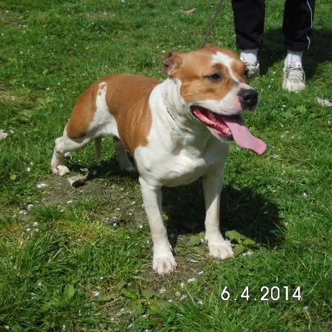 Olimpia Winning Ticket