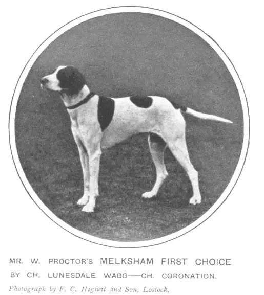 Melksham First Choice