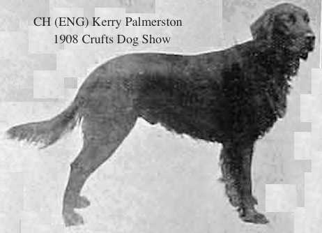 CH (ENG) Kerry Palmerston