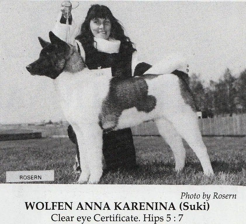 Wolfen Anna Karenina