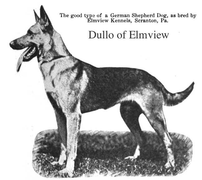 Dullo of Elmview