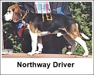 Northway Driver
