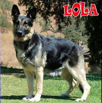 Ale-She's Lady Lola