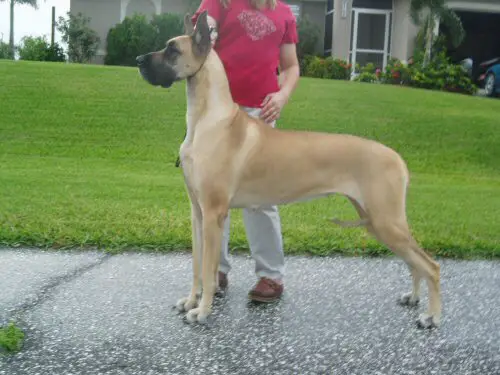 Eastwoods Fun N The Sun