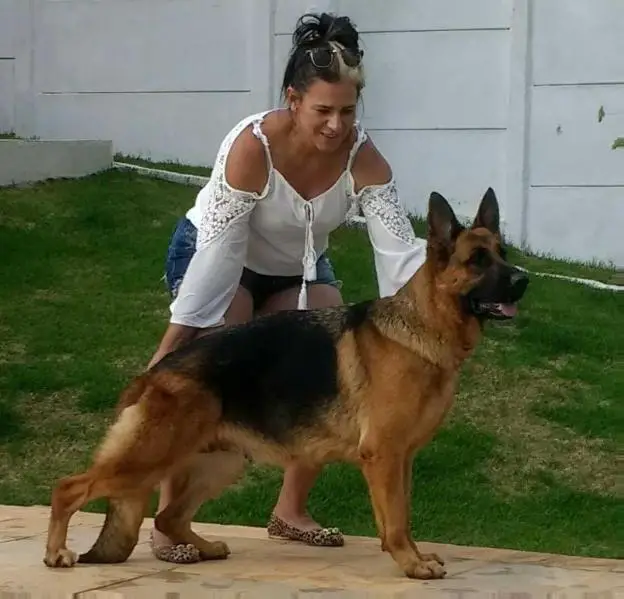 Angel di famiglia cerri