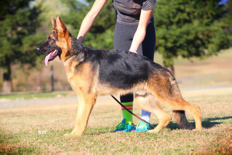 Milan Zur Sebastianstrasse