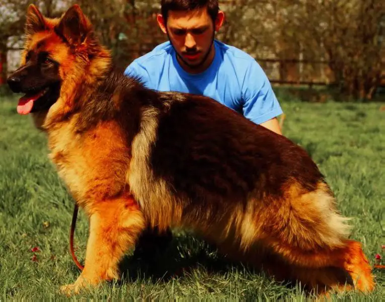 Betty von Wolfenwald