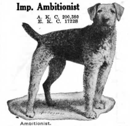 Ambitionist (1912)
