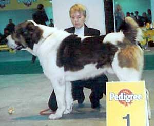 CH RU, 2XRKF, PL El ermak mamay