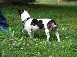 GRCH Run-N-Ridge Lil Hoss