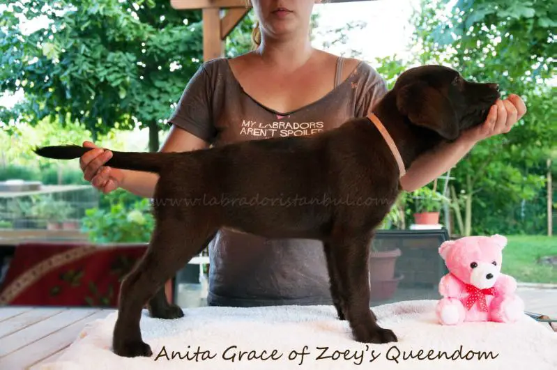 Anita Grace of Zoey's Queendom