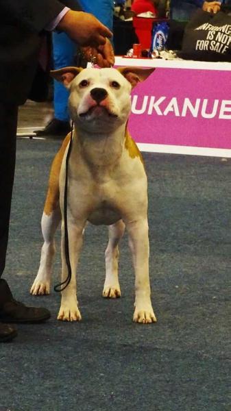 Oscar On The Road Again Domein Deleiestreek