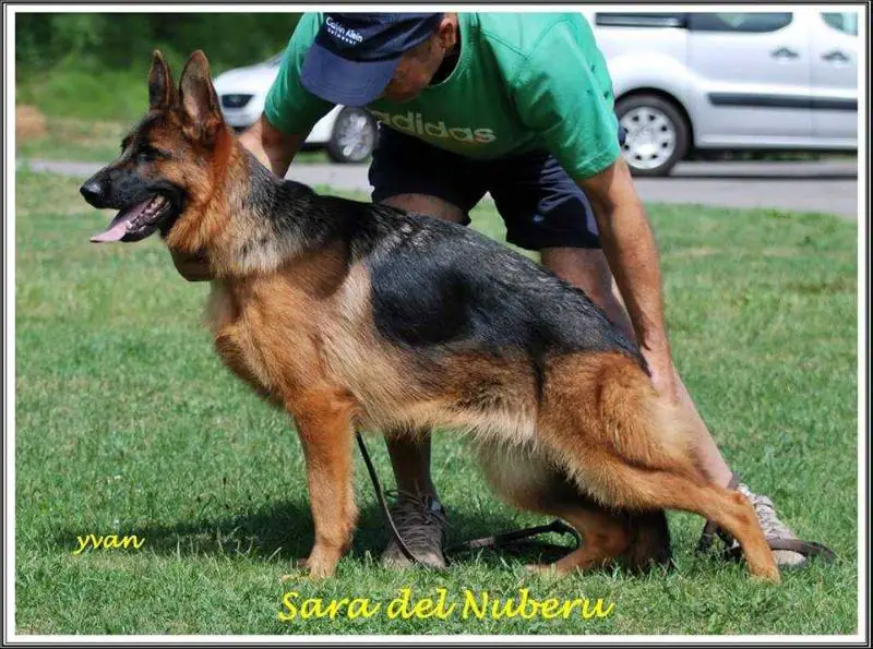 Sara del Nuberu