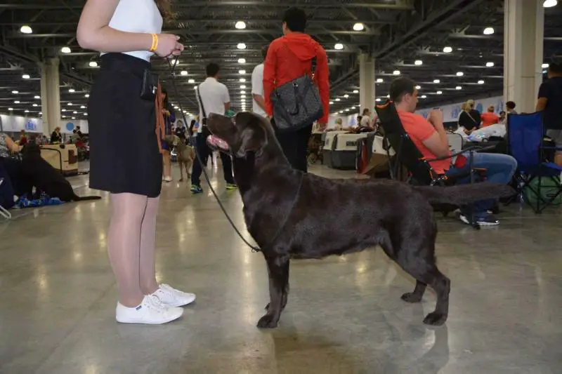 Tierni Arriva Riva Ridge