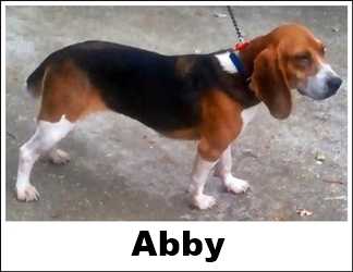 LPRCH River Bottom Abby