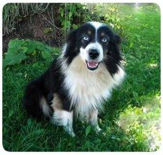 Lakefront Acres Rico