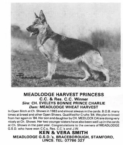 Meadlodge Harvest Princess