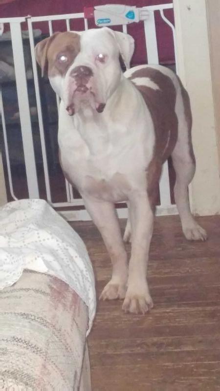 XKY'S BIG MAX