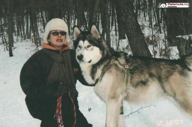 AMUR