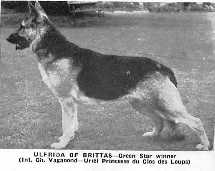 Ulfrida of Brittas