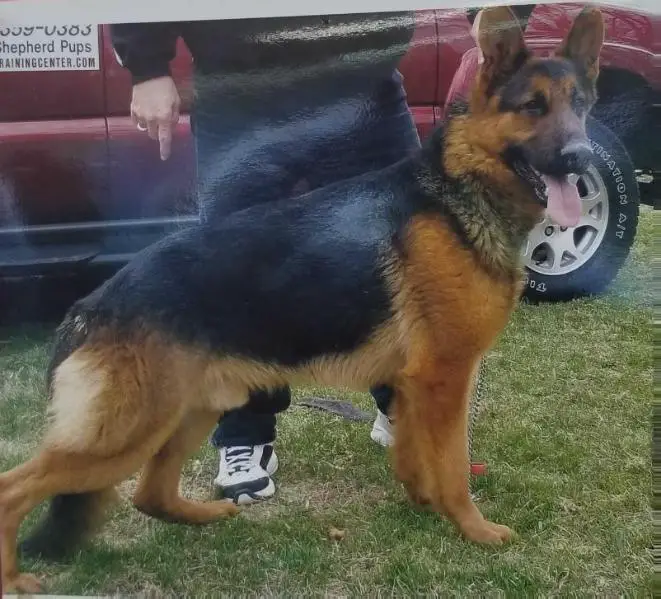 Usher's Victor Von Upton-Haus