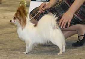 ROSE LAGUNA OT BELL FIET