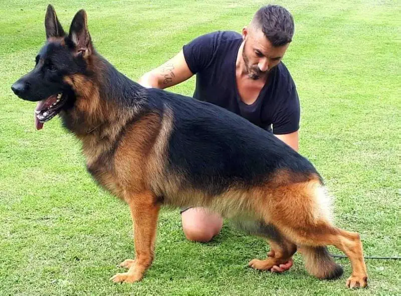 V Landos di casa Nando