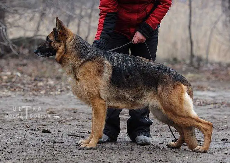 Joanna vom Rumbachtal