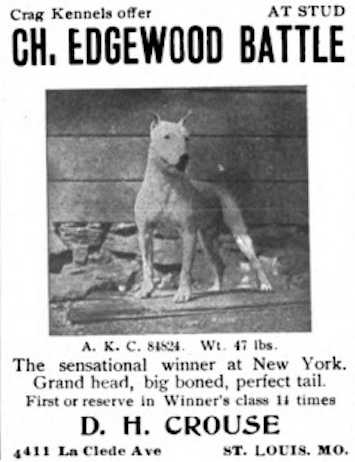 CH Edgewood Battle (084824)