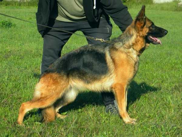 Doxa von Blasius-Haus