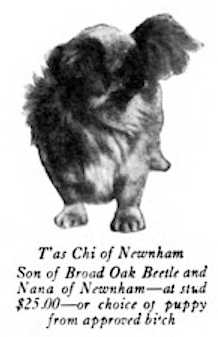 T'as Chi of Newnham