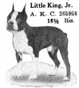 Little King Jr 265958