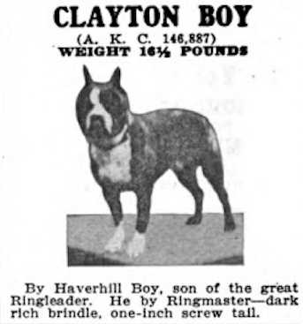 Clayton Boy 146887
