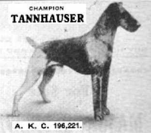 Tanhauser (196221)