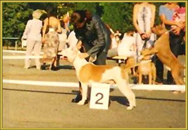 Legioner Iz Kremlevskogo Arsenala