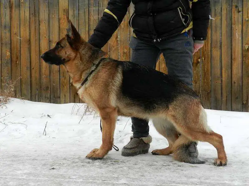 V Yullari iz Berezovogo Loga