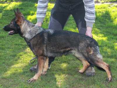 Roxi z Vetrneho Vrchu