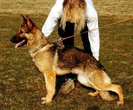 Dolly zur Medbacher Mühle