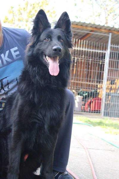 G Bolt Von Haus Vekic