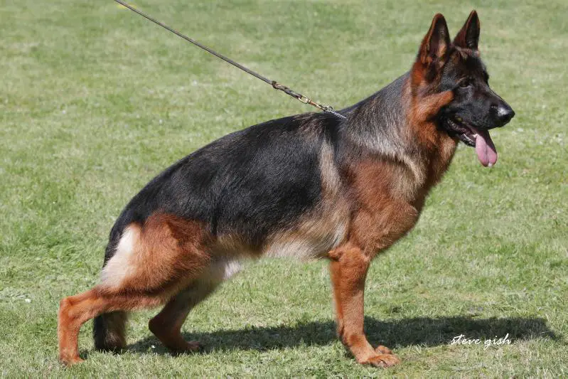 SG Totti vom Team Schwarzaugen