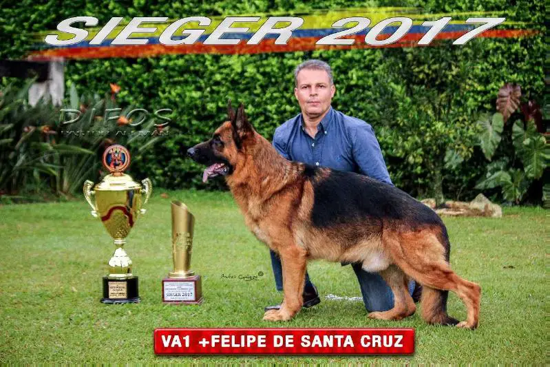VA 1 Col.2017 Felipe de Santa Cruz de las Piedras