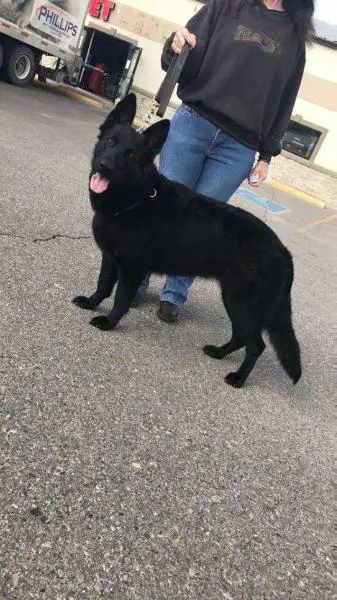 Bina Von Boorman Haus