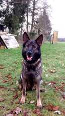 V Amy Vom Schonen Blick